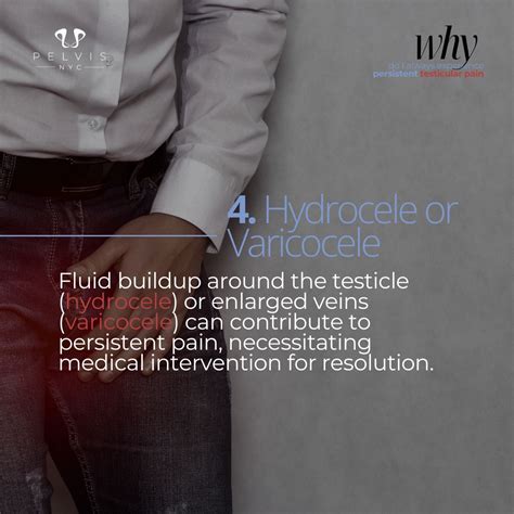 Hydrocele or Varicocele: a condition that causes swelling and pain. | Pelvis NYC posted on the ...