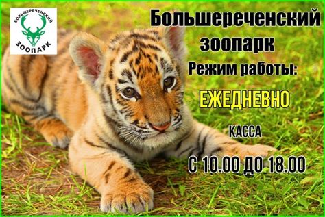 Большереченский зоопарк | ВКонтакте