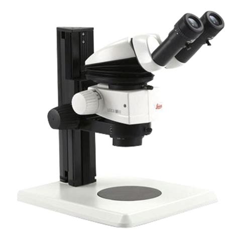 Stereo Microscope 的图像结果
