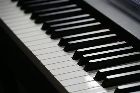 Image result for Digital Piano On Computer