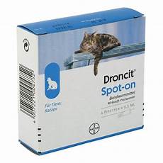 katzen wurmkur kaufen erfahrungen zu droncit spot on l 246 sung pipetten f 252 r katzen katzen wurmkur kaufen erfahrungen zu droncit spot on l 246 sung pipetten f 252 r katzen