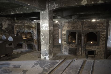 arriving-at-auschwitz - Holocaust Concentration Camps Pictures - The ...