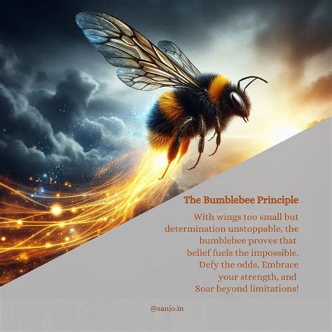 The Bumblebee Principle | Sanjo Cine Mathew