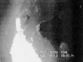 29.5 the shell plating and bottom plating