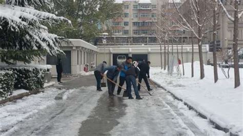 大雪过后，河南博物院干部职工除雪忙（图）