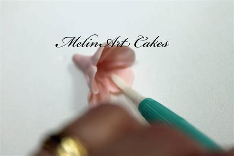 Cherry Blossom Cake Tutorial 的图像结果