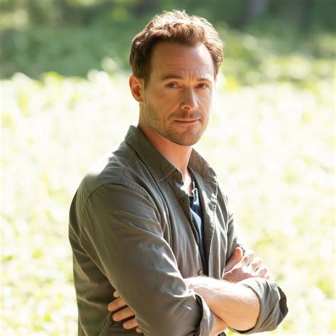 What Does QV Mean? For 2026