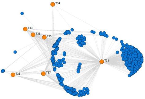 The Importance of Network Position in the Diffusion of Agricultural ...