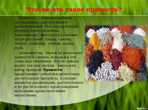 Презентация "Пряности для здоровья и красоты" - всем учителям, презентации