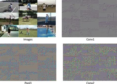 Feature Map Visualization 的图像结果