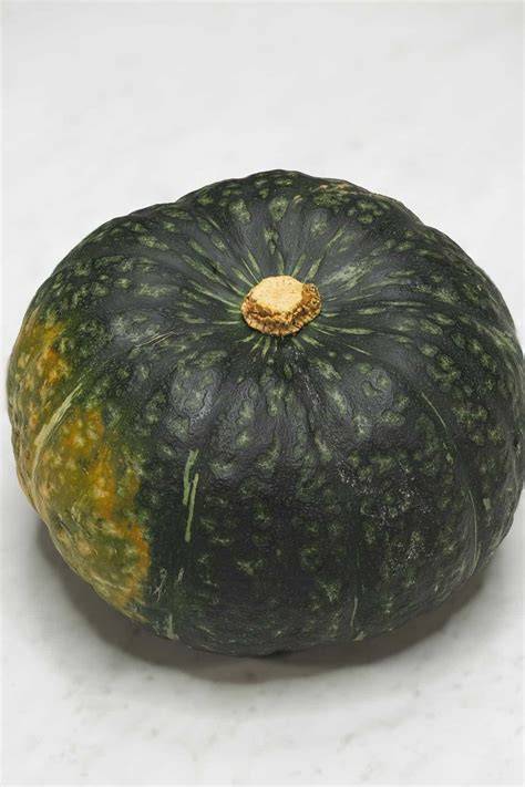 Kalabasa Squash