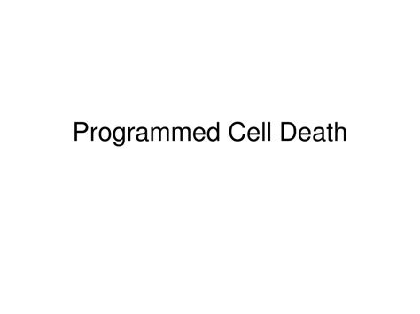 Image result for Cell Death Programed