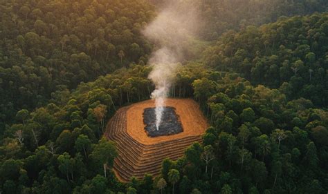 Shifting Cultivation: Meaning, Process, Pros & Cons