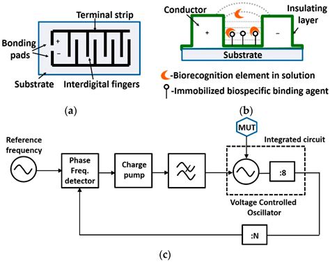 EM-Wave Biosensors: A Review of RF, Microwave, mm-Wave and Optical Sensing