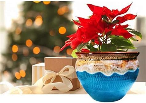 Niyara Stylish Unique Glacier Look Cream Ceramic Pots Planters for ...