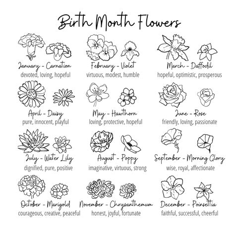 Birth Flower Chart June at Elizabeth Simson blog