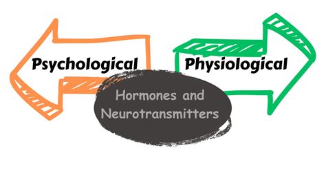 The Relationship between Psychological and Physiological Constitutions ...