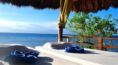 THE BLUE ORCHID RESORT (Moalboal, Cebu Island) - Hotel Reviews, Photos ...