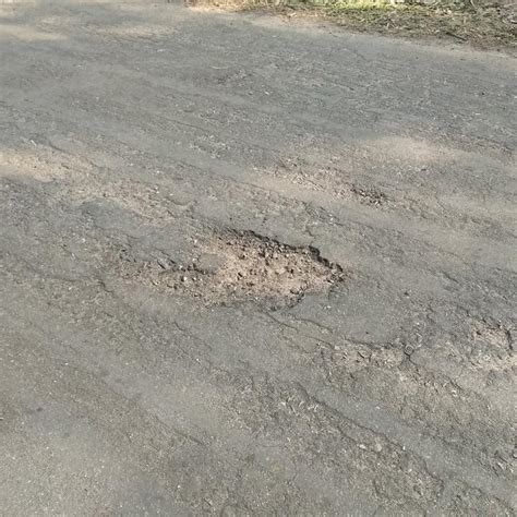 Object Detection Using Yolov5 的图像结果