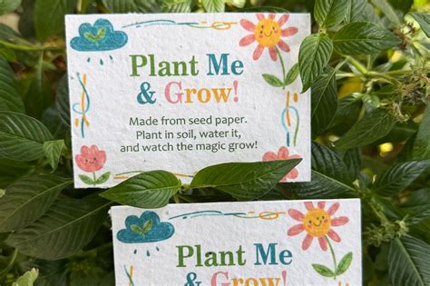 Plantable Seed Paper Custom Cards (Multi-colour printed) – The Box ...