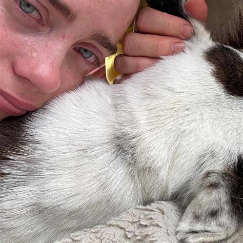 Billie Eilish Shares Grief Over Death of Dog Pepper: ‘Rest Easy Mama’