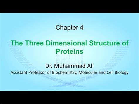 Three Dimensional Structure of Proteins Video Lecture - Biology and ...