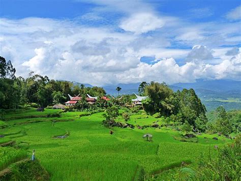 Sulawesi Photos - Featured Images of Sulawesi, Indonesia - Tripadvisor