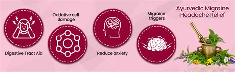 Leewell Migranta Ayurvedic Migraine & Headache Relief Products | Helps ...