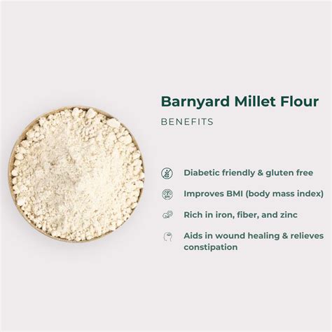 Barnyard Millet Flour – OOO Farms