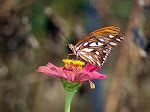 Image result for Integration First Principles