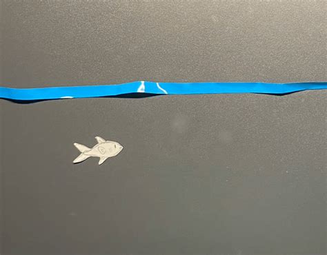 Image result for Stop Motion Fish