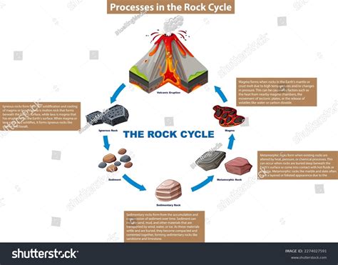 Rock Cycle Processes Diagram Illustration Stock Vector (Royalty Free ...