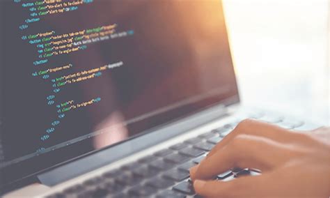 Programming Tools 的图像结果
