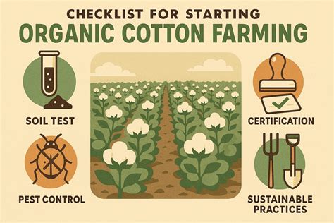 Why Cotton Is Better Than Polyester