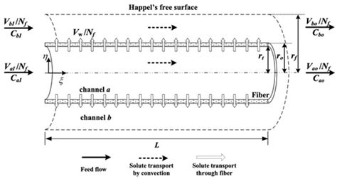 Two-Dimensional Theoretical Analysis and Experimental Study of Mass ...