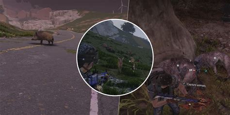 Beets, Potato and Cabbage Locations in Once Human