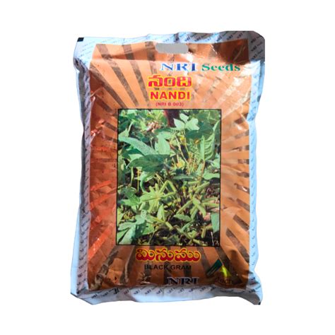 Nandi Black Gram Seeds - NRI | Buy Online at Best Price - DesiKheti ...