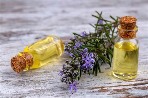 Why Use Rosemary Oil for Hair Growth (Helps with Androgenic Alopecia ...