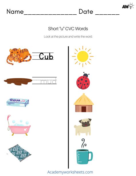 Short u Phonics Worksheets CVC Words - Academy Worksheets