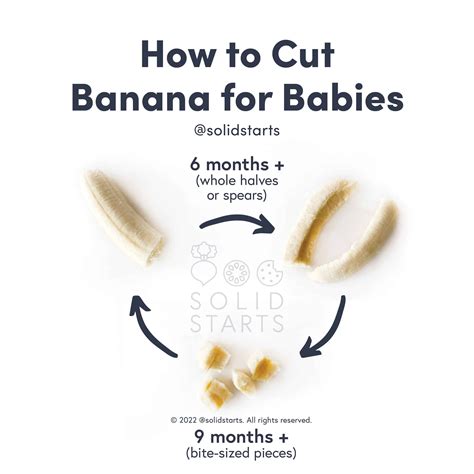Baby Led Weaning First Foods, Weaning Foods, Baby First Foods, Weaning Recipes, Baby Weaning ...