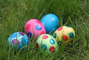 Image result for Animal Easter Bunny