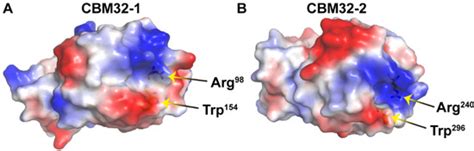 Effects of Module Truncation of a New Alginate Lyase VxAly7C from ...