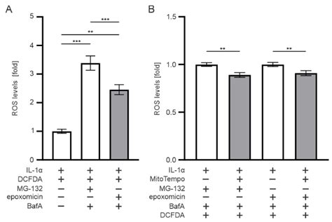 Epoxomicin, a Selective Proteasome Inhibitor, Activates AIM2 ...