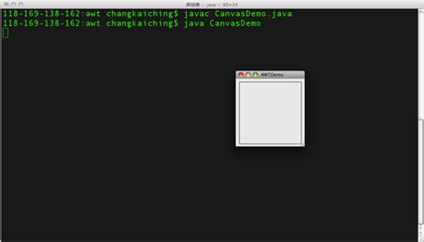 Canvas in Java 的图像结果