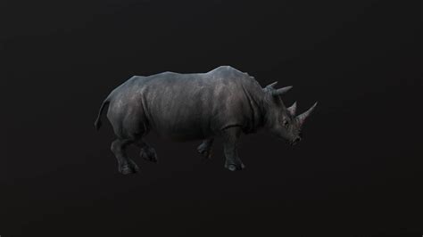 Rhinoceros - 3D Model by MadeCG