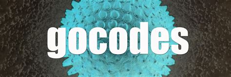 gocodes – Breaking Tunes