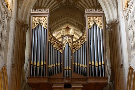 Image result for Types of Organs Instrument