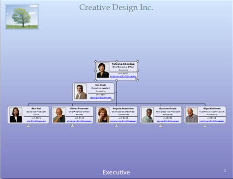 Image result for OrgPlus Org Chart