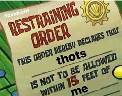 File Restraining Order Meme 的图像结果