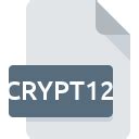 Image result for How to Open Crypt12 File